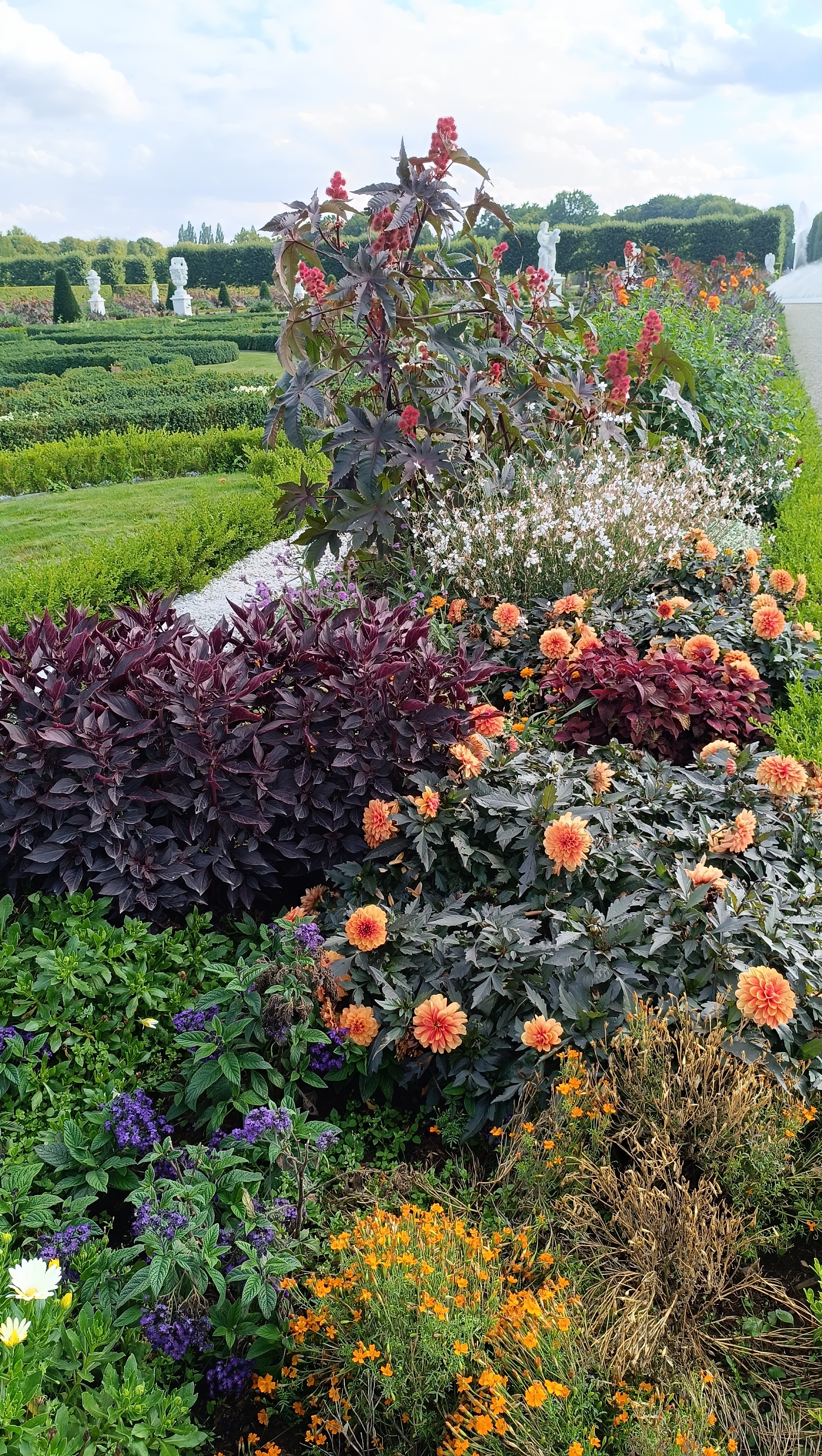 Cantero de dalias y follajes contrastantes en un jardín
